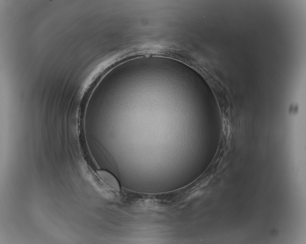 X0000113050244200908271537