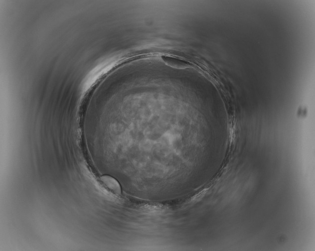 X0000113050245200908271537