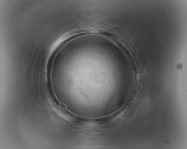 X0000113050246200908271537