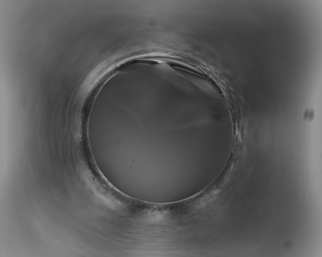 X0000113050247200908271537