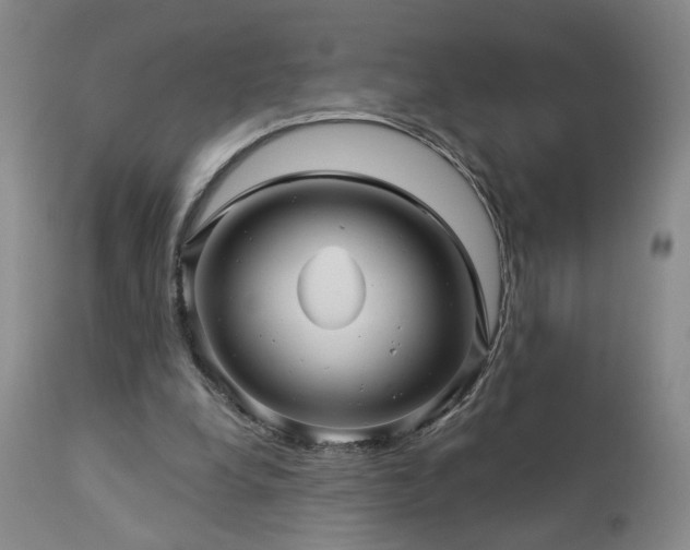 X0000113050248200908271537