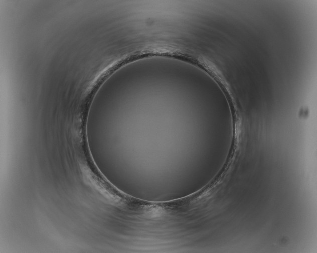 X0000113050249200908271537