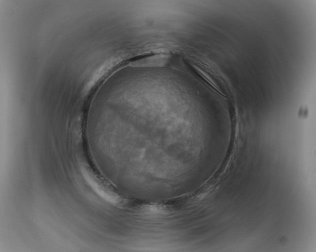 X0000113050250200908271537