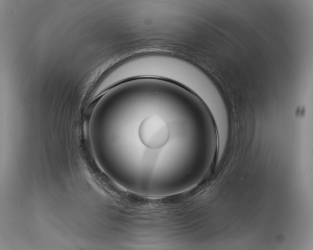 X0000113050252200908271537