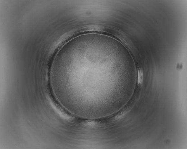 X0000113050253200908271537