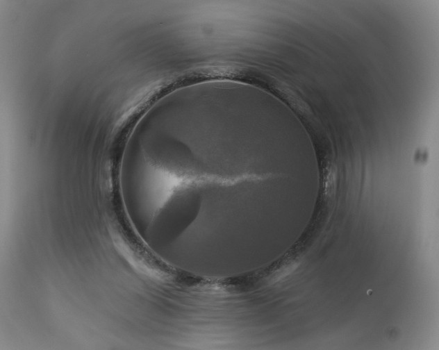 X0000113050254200908271537