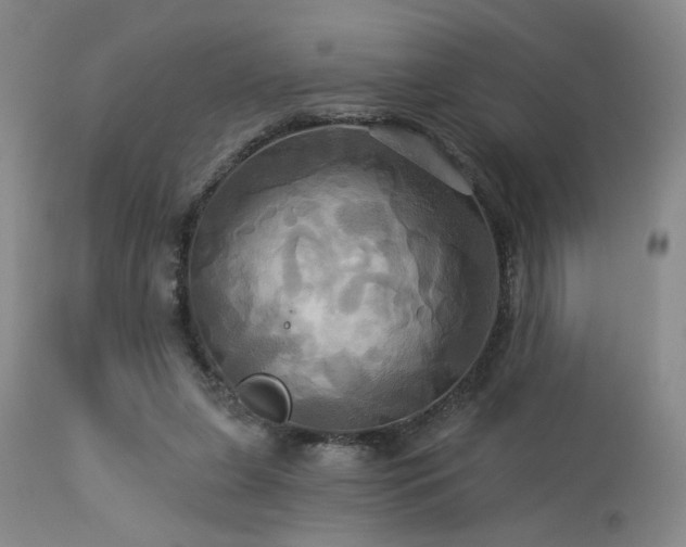 X0000113050255200908271537