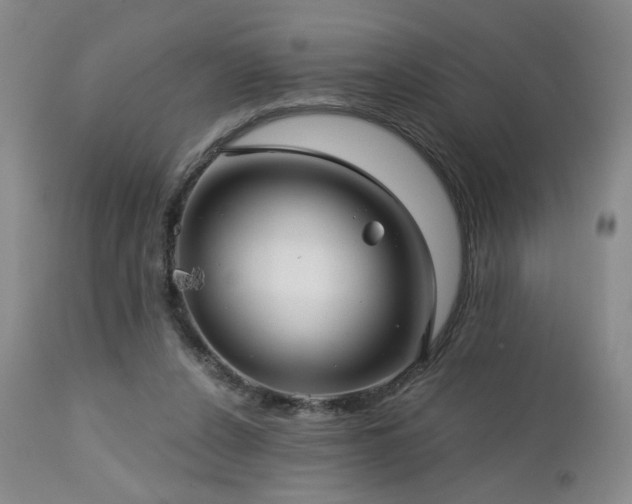 X0000113050256200908271538