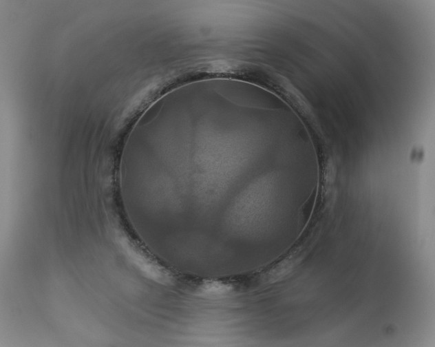 X0000113050257200908271538