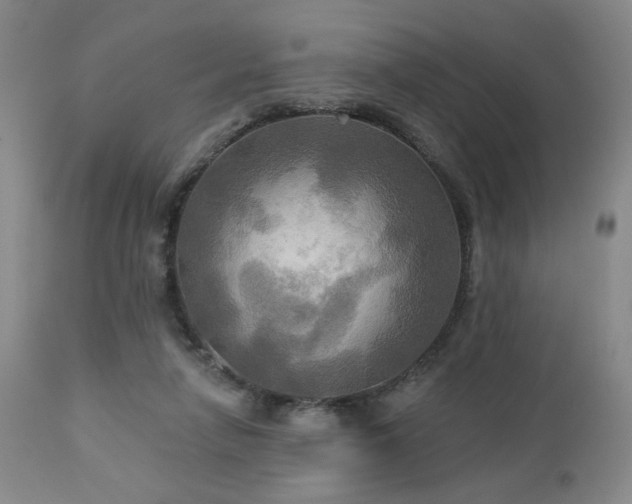 X0000113050258200908271538