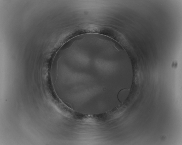 X0000113050259200908271538