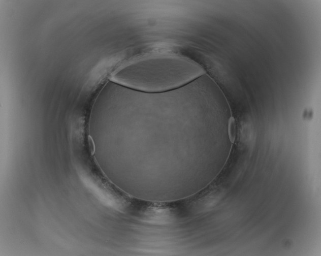 X0000113050260200908271538