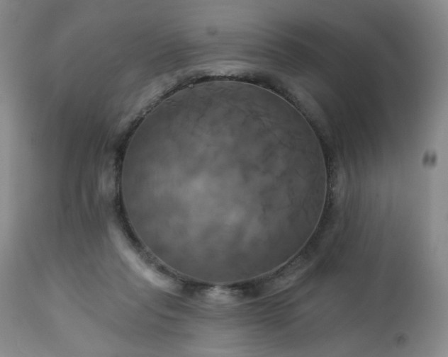 X0000113050261200908271538