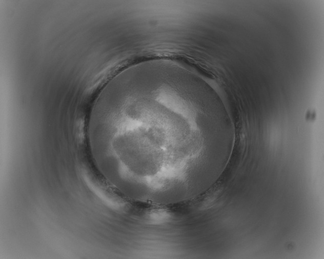 X0000113050262200908271538