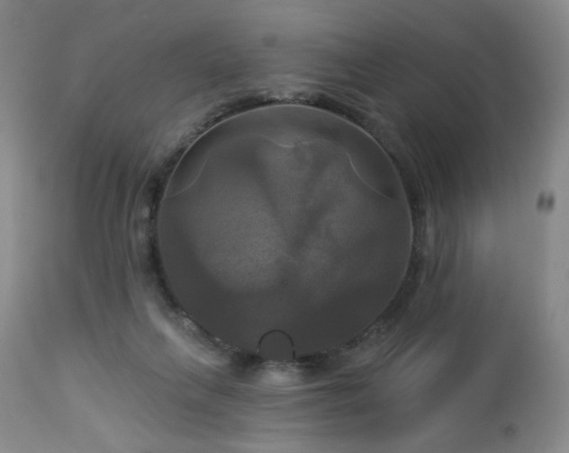 X0000113050263200908271538