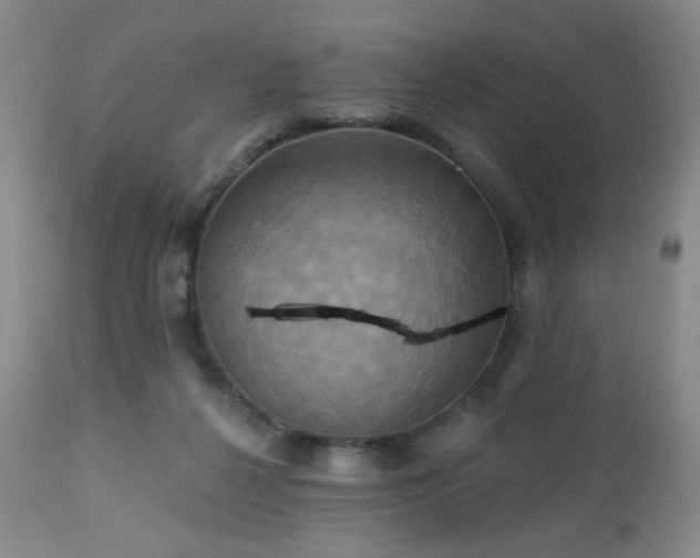 X0000113050264200908271538