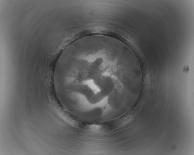 X0000113050265200908271538