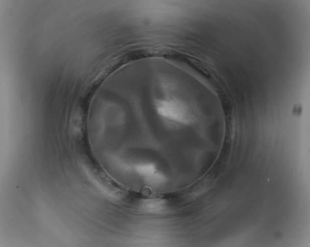 X0000113050266200908271538