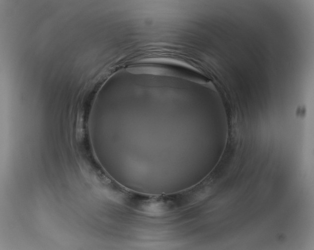 X0000113050267200908271538