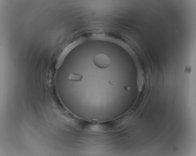 X0000113050268200908271538