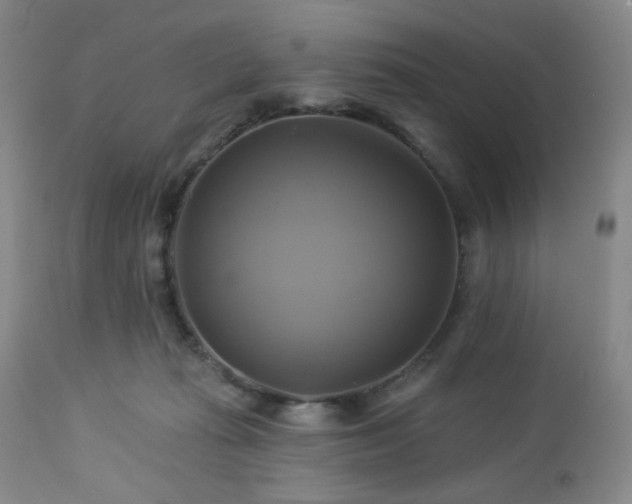 X0000113050269200908271538