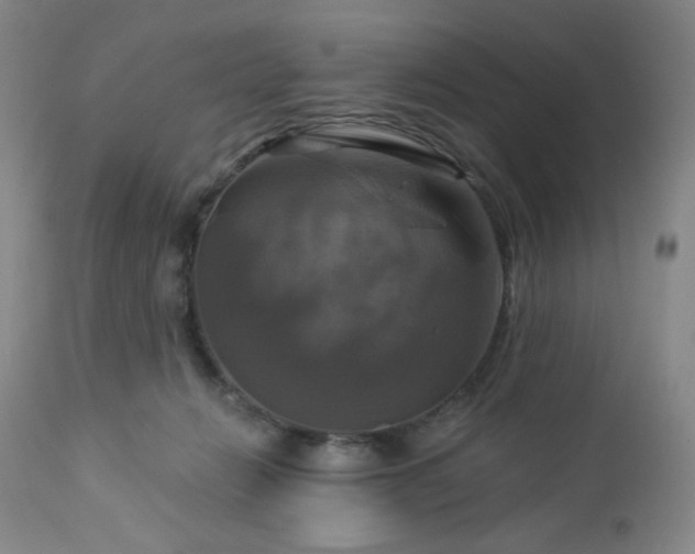 X0000113050270200908271538