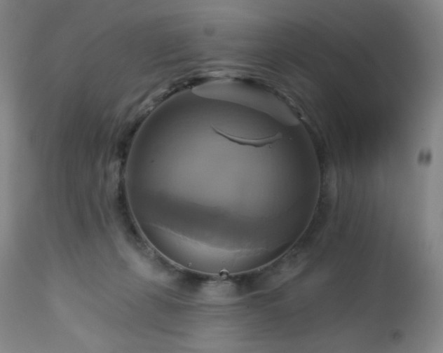 X0000113050271200908271538