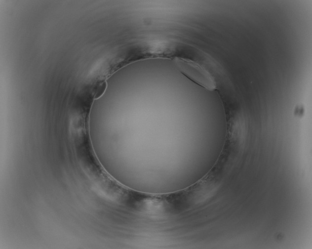 X0000113050272200908271538