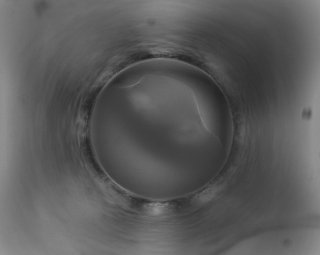 X0000113050273200908271538