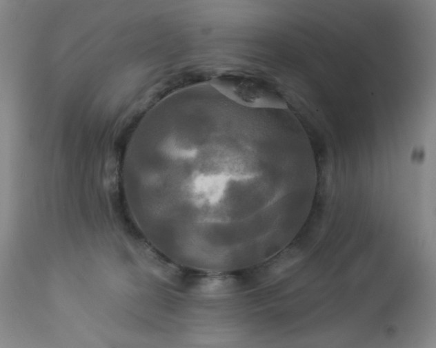 X0000113050274200908271538