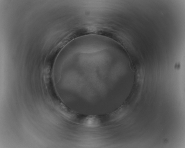 X0000113050275200908271538