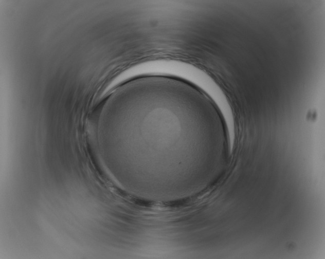 X0000113050276200908271538