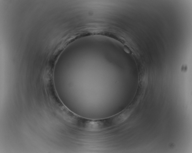 X0000113050277200908271538