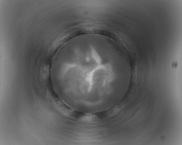 X0000113050278200908271538