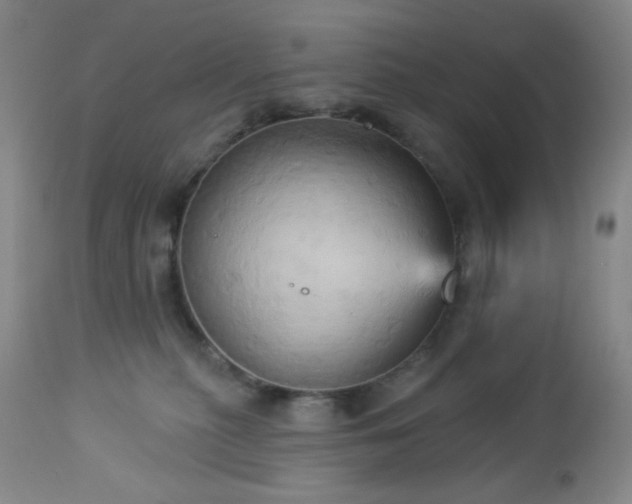 X0000113050279200908271538