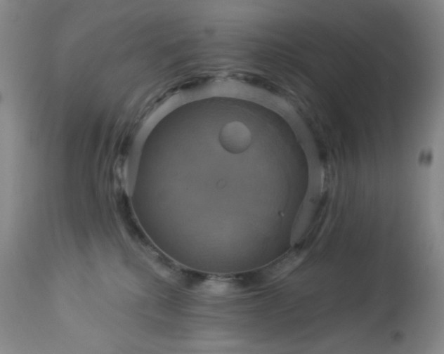 X0000113050280200908271538