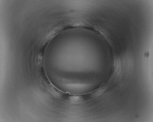 X0000113050281200908271538