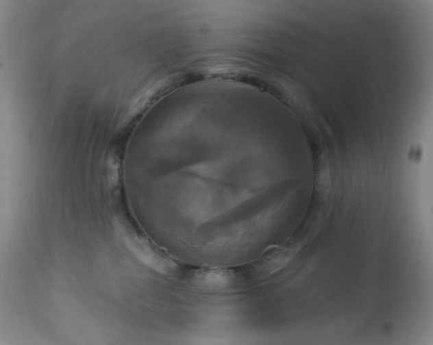 X0000113050282200908271538