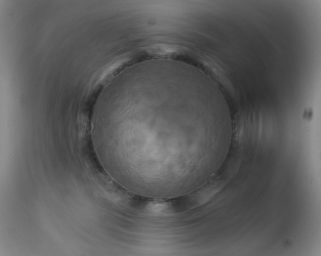 X0000113050283200908271538