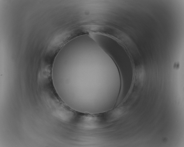 X0000113050284200908271538