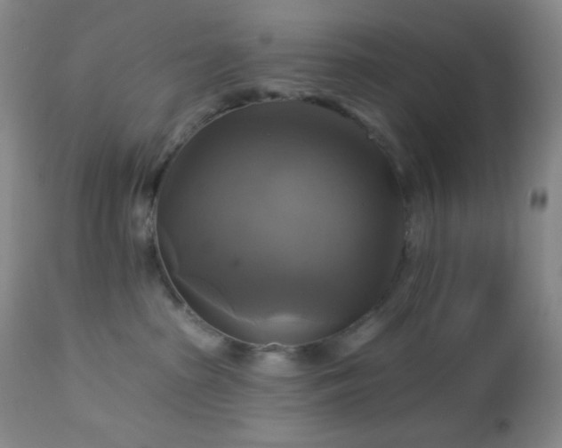 X0000113050285200908271538