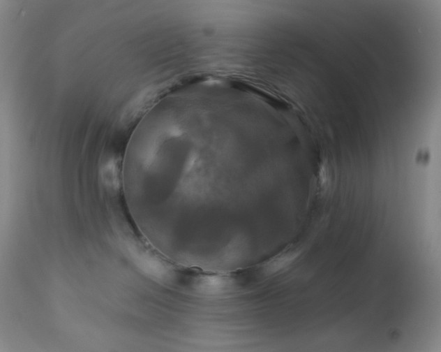 X0000113050286200908271538