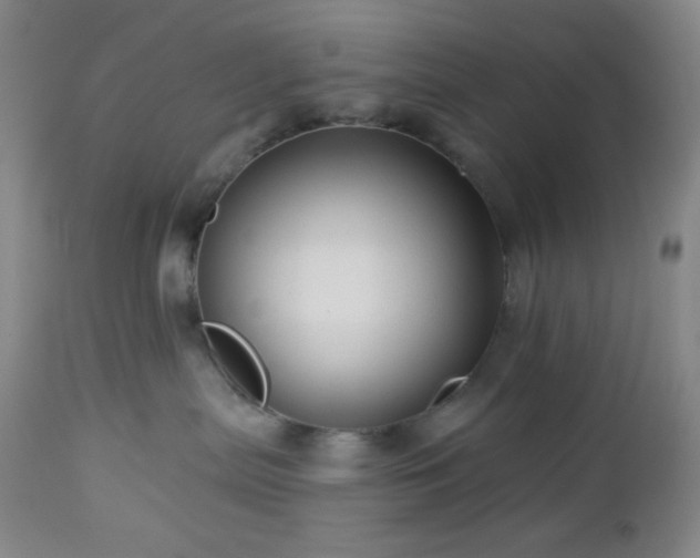 X0000113050287200908271538