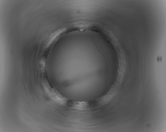 X0000113050288200908271538