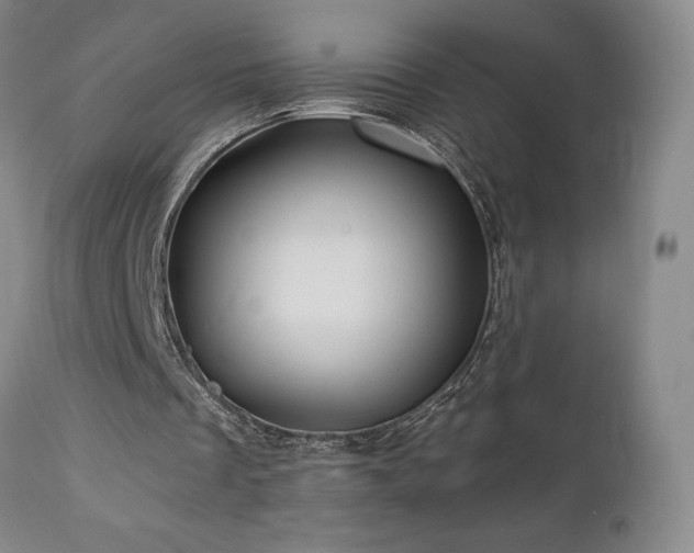 X0000113050289200908271537