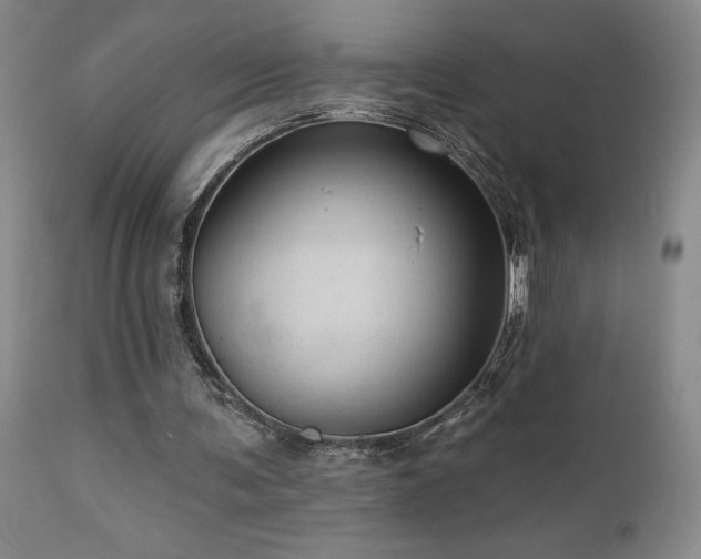 X0000113050291200908271537