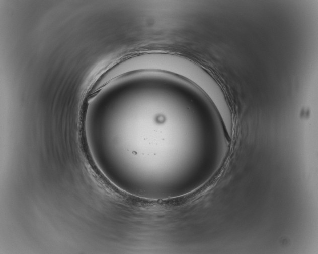 X0000113050293200908271537