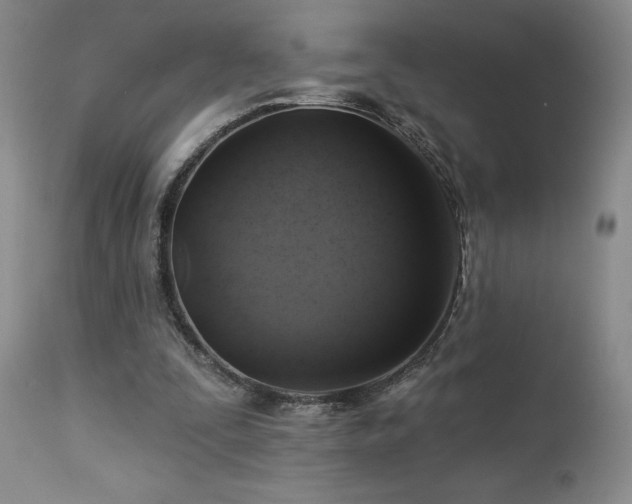 X0000113050295200908271537