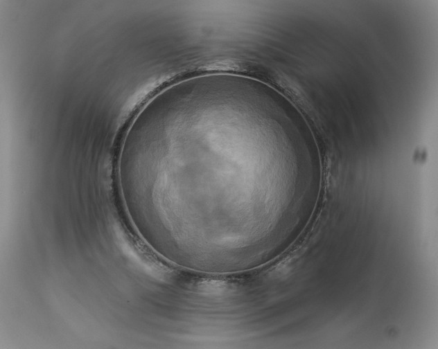 X0000113050298200908271537