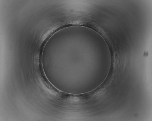 X0000113050299200908271537